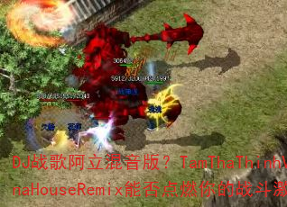 DJս�谢�������棿TamThaThinhVinaHouseRemix�ܷ��ȼ���ս�����飿